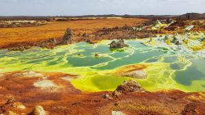 형언할 수 없는 오묘한 풍광에 피로 ‘싹’