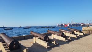 싱그러운 바닷바람과 풍광…2박3일 사파리 여행의 ‘쉼표’