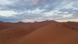 보이시나요, 끝없이 펼쳐진 붉은 곡선이…