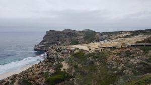 대서양 파도·절벽 해안·수백마리 펭귄…그림 같은 하루