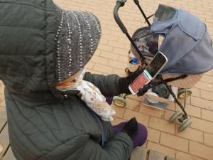 스마트시대, 노년층은 아직도 스마트폰이 무섭다