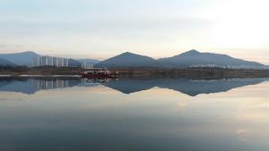 생명 품은 강, 고통에 몸부림치고 있다