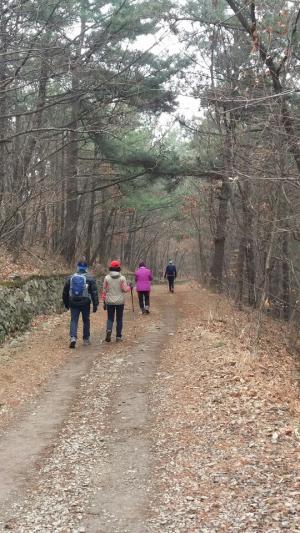 식물을 건강하게 해야 사람도 건강해진다