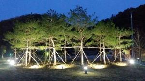 빛공해에 잠못드는 밤…모든 생명은 어둠을 누릴 권리가 있다