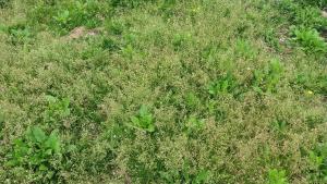 걸러내고 싶다구요? 알고보면 쓸모 많답니다