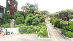 학생의 행복을 위해서…학교숲 제대로 가꿔야한다