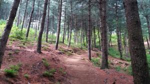 ‘그린 닥터’가 주는 긍정 에너지, 마음껏 들이마시자