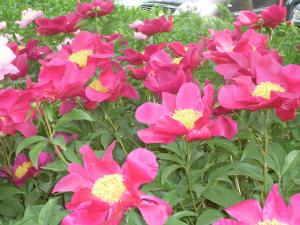 아담한 정자·작은 폭포…자연을 관조하며 하나되다