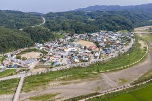 [울진 매화마을]매화나무 아래 이현세 만화 벽화 늘어선 ‘웹툰의 성지’