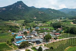 [2023 경상북도 마을이야기] 문경 오미자 정보화마을...손꼽히는 산간오지, 주민 힘으로 ‘오미자특구’ 이루다
