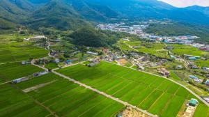 [2023 경상북도 마을이야기] 칠곡 학수고대 마을...사람이 돌아오길 ‘학수고대’ 人文을 꽃피우다