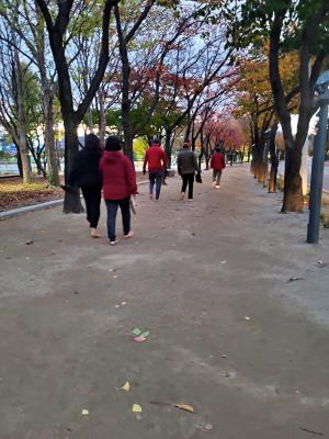 [맨발로 찾은 행복](2) 맨발 걷기는 ‘K-문화’ “건강에 좋다” 너도 나도 발벗고 나서…동호회 수백개 활동