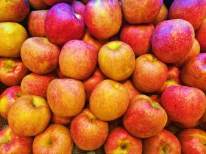 [맛과 멋으로 읽는 세상] 인류의 역사 바꿀 ‘7번째 사과’ 탄생을 바라며…