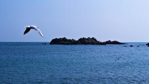 [맛과 멋으로 읽는 세상] 위대한 경북의 역사…기억하는 것만으로도 ‘앞날의 등불’