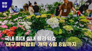 [현장스케치] 국내 최대 실내 플라워쇼 &apos;대구꽃박람회&apos; 개막