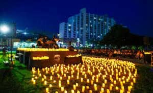 [우리지역 이렇게-성주군] 전국 최고 부자농촌 도전장…성주 ‘新르네상스 시대’ 열다