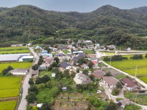 [상주 낙동면 신상1리] 주민 손으로 가꾼 해바라기, 사람 모이는 명품마을 꽃피우다