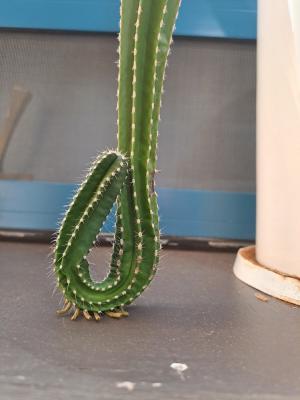 [2025 대구신문 신춘 디카시 공모대전 장려상] 임효임 作 &apos;터닝포인트&apos;