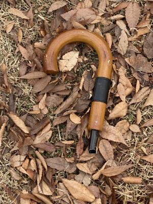 [2025 대구신문 신춘 디카시 공모대전 장려상] 김성미 作 &apos;견고한 물음표&apos;