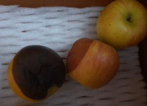 [2025 대구신문 신춘 디카시 공모대전 장려상] 이선정 作 &apos;부당 거래&apos;