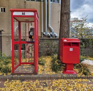 [2025 대구신문 신춘 디카시 공모대전 장려상] 한유경 作 &apos;SNS&apos;