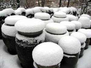 [호일당에서] 새해맞이, ‘八餘居士’ 지혜 요구되는 시대…어떤 마음으로 살 것인가