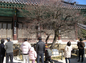 [호일당에서] “다가오는 봄처럼 국민 마음도 봄날처럼 화평해지길”