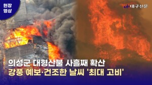 의성군 대형산불 진화율 71%…강풍·건조 &apos;최대 고비&apos;