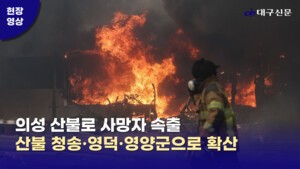 고운사 삼키고 하회마을 위협…영덕·영양까지 번져