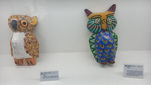 [자연이 살아야 우리가 산다] 한국의 비영리 사립박물관이 제자리 지킬 수 있기를…