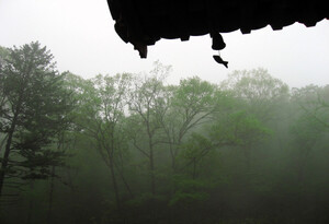 [호일당에서] 빗소리 들으며...주르륵 소리 귀기울이면, 내 마음도 촉촉히 젖어들어