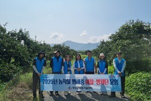 청도, 병해충 예찰 실시