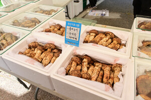 [봉화송이축제, 16~19일] 향긋한 송이·살살 녹는 한약우…“가을, 봉화가 부른다”