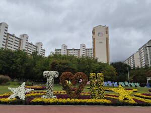 경산시, 남천둔치 국화전시…가을 정취 물씬