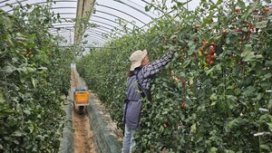 봉화 재산면, 공동영농으로 농가 소득 3배↑