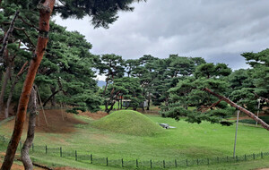 [호일당에서] 탈해왕릉을 거닐며...경주의 왕릉 아래서 새로운 추모의 길을 꿈꾸다