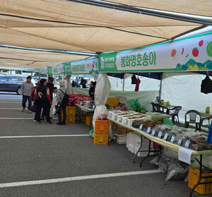 봉화군, 청량산 농특산물 직거래장터 개장