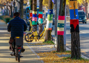 알록달록 겨울옷 입은 가로수