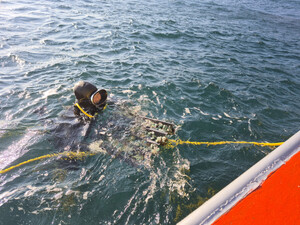영덕 “연안 생태계 복원” 어린 전복 15만 마리 방류