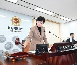 경북도의회 기획경제위 행감 “경제혁신추진단, 실질 컨트롤타워 역할 해야”