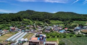 [포항 노다지마을] 토박이 농부 기술+귀농인 아이디어, 성공농업 이끈다